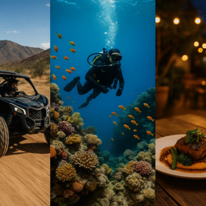 Book Baja off-road tour,,Reserve Baja UTV adventure,,Buy Cabo Pulmo diving experience,,Premium Baja adventure tour booking,,Off-road tour price Los Cabos,,Guided Baja UTV rental,,Cabo Pulmo dive tour cost,,Luxury Baja off-road excursion,,Private Baja coastal tour booking,,Best Baja off-road tour deals,,Cabo Pulmo snorkeling reservation,,Off-road adventure package Baja,,Book UTV tour San José del Cabo,,Cabo Pulmo diving package price,,Baja guided off-road tour cost,,Buy Can-Am Maverick tour Baja,,Book farm-to-table dining tour Baja,,Baja adventure combo tour booking,,Same-day Baja off-road tour booking,,Premium guided Baja tour price,,Cabo Pulmo diving trip reservation,,Baja adventure tours with photos,,Luxury off-road and dive tour booking,,Cabo Pulmo marine park dive price,,Book all-inclusive Baja adventure